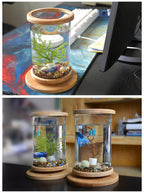Bamboo Frame Glass Fish Tank