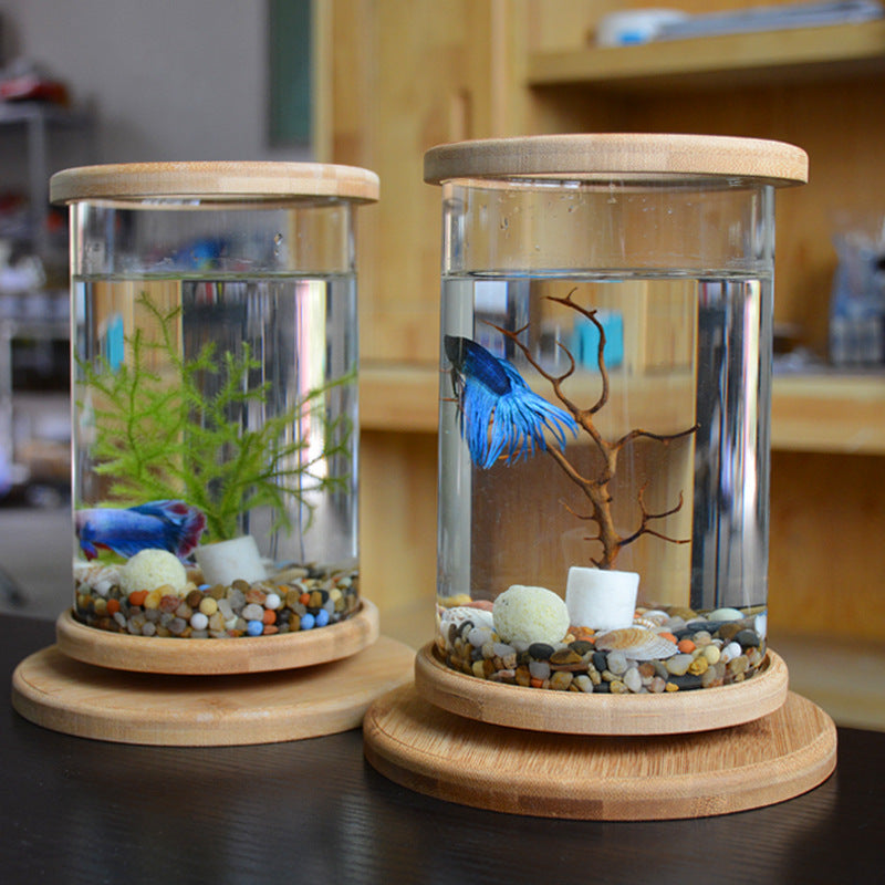 Bamboo Frame Glass Fish Tank