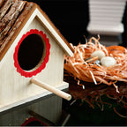 Outdoor Bird House