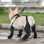 Waterproof Dog Shoes