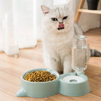 Pet Bowl Fountain Automatic Food Water
