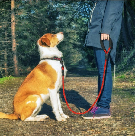 Dog Leash Rope