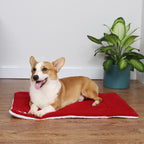 Christmas - Pet Mat