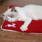 Christmas - Pet Mat