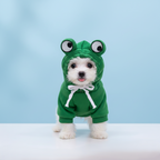 Cute Fruit Dog Clothes