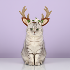 Christmas -  Reindeer hat