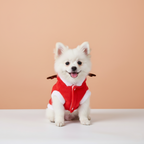 Pet Christmas Clothes Santa Claus