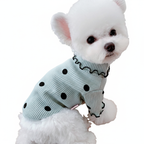 Dot turtleneck bottoming shirt