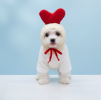 Cute Fruit Dog Clothes