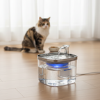 Steel Automatic Water Dispenser