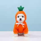 Cute Fruit Dog Clothes