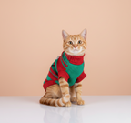 Christmas Turtleneck Pet Sweater