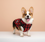 Christmas - Waterproof Reflective Clothe