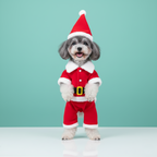 Dog Christmas Costume