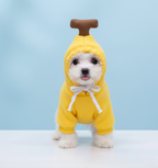 Cute Fruit Dog Clothes