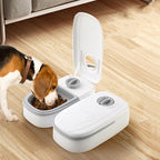 Smart Pet Feeder Food Dispenser